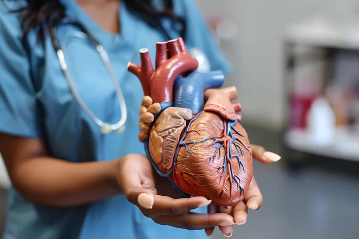 Cardiology